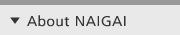 About NAIGAI